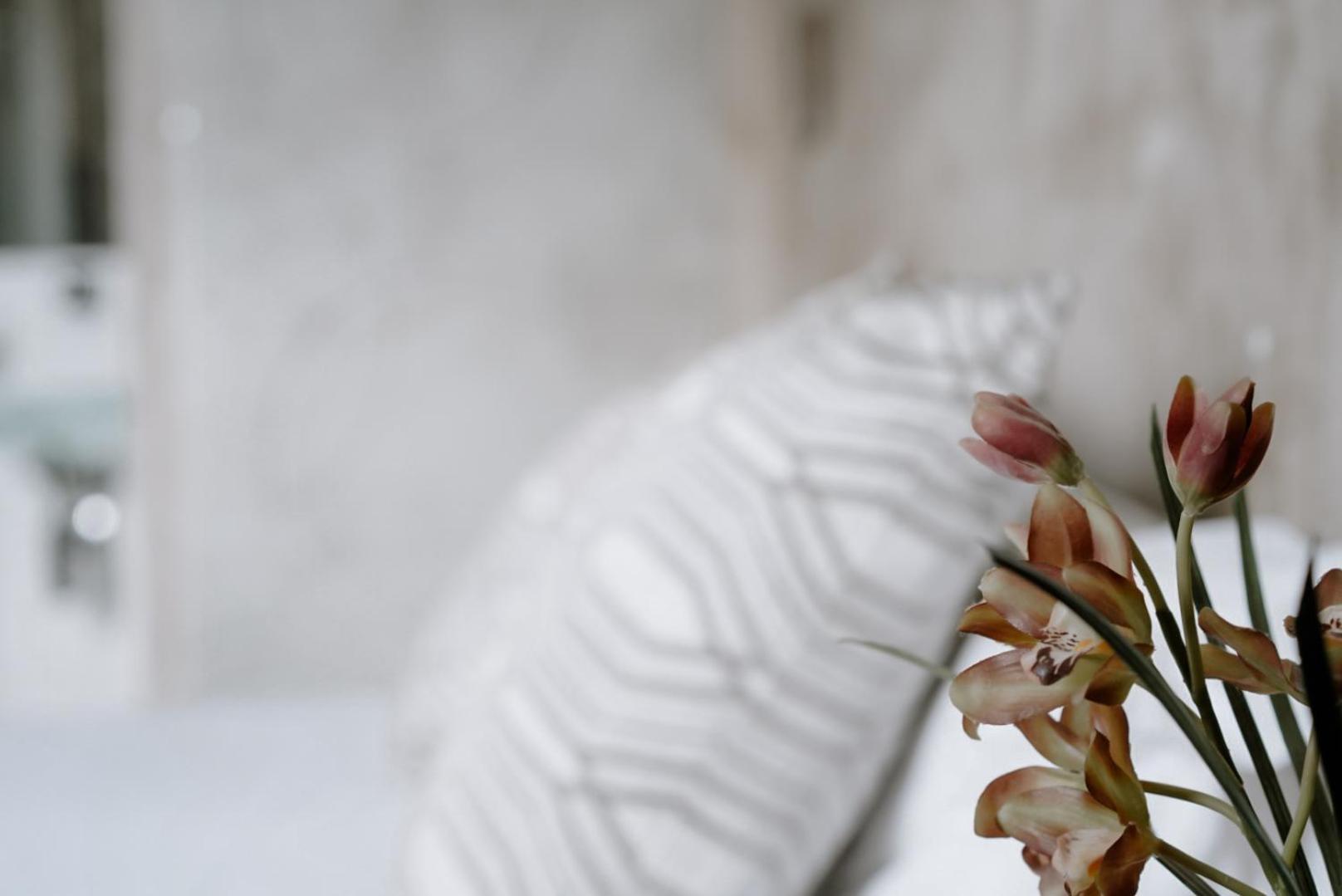 Ideal Sejour Cannes - Stylish Boutique Hotel With Quiet Garden Экстерьер фото